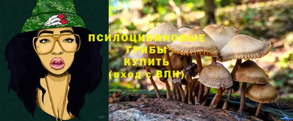 марки nbome Абаза