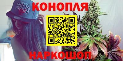 индика Северобайкальск