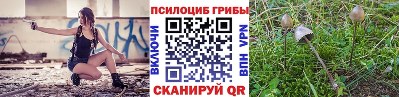 Галлюциногенные грибы Magic Shrooms  MEGA зеркало  Тольятти 